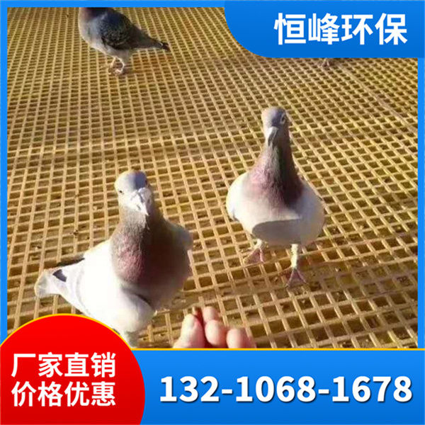 玻璃钢格栅